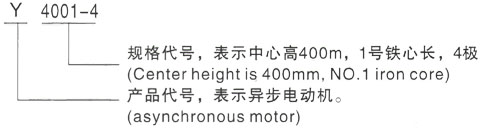 西安泰富西玛Y系列(H355-1000)高压大功率直流电机三相异步电机型号说明