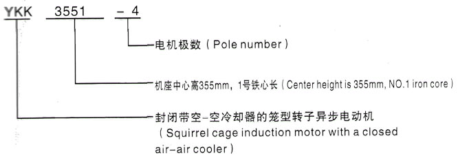 YKK系列(H355-1000)高压大功率直流电机三相异步电机西安泰富西玛电机型号说明