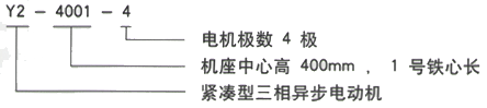 YR系列(H355-1000)高压大功率直流电机三相异步电机西安西玛电机型号说明